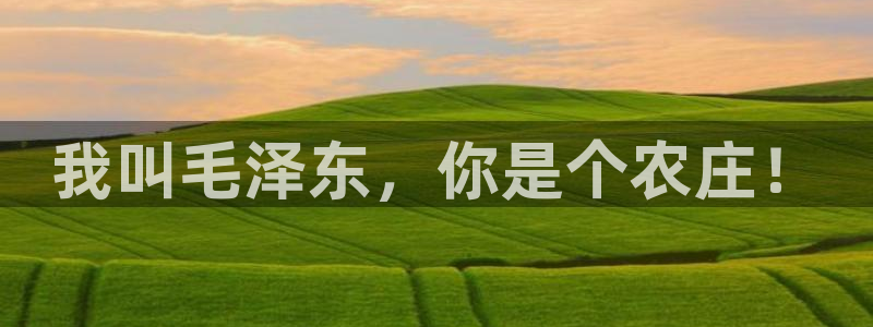 天顺娱乐视二下27