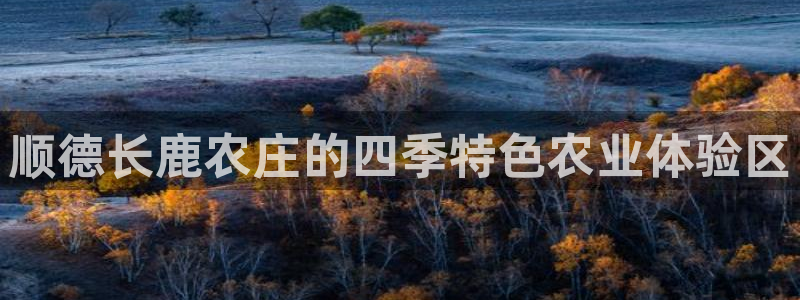 娱乐聊天顺口溜大全搞笑