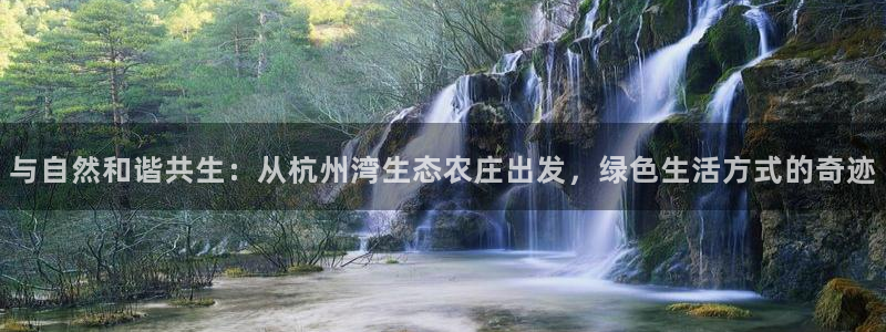 玛雅集团天顺娱乐怎么样