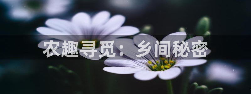 长沙天顺娱乐会所