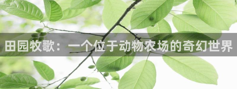天顺娱乐痴943994
