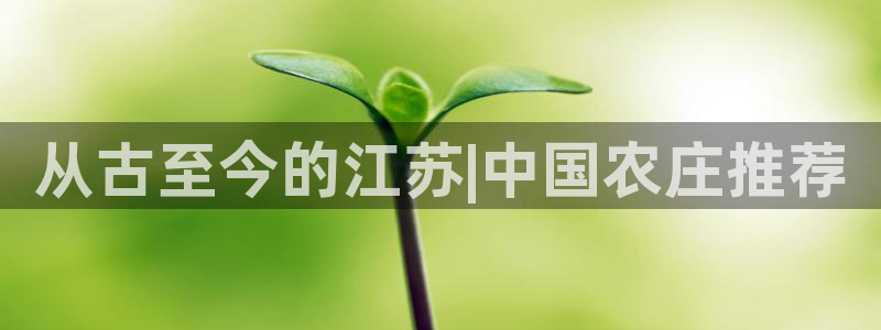 天顺娱乐字333OO