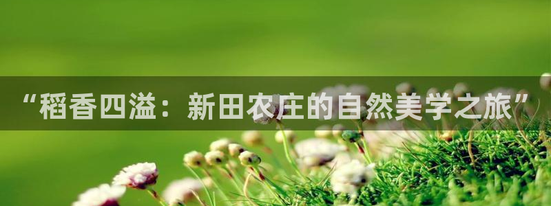 天顺娱乐稼33300