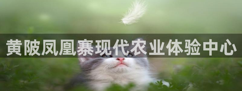 天顺娱乐负责人问qv96303