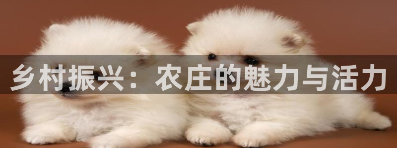 天顺娱乐主管可