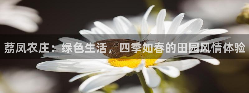天顺娱乐苍3300