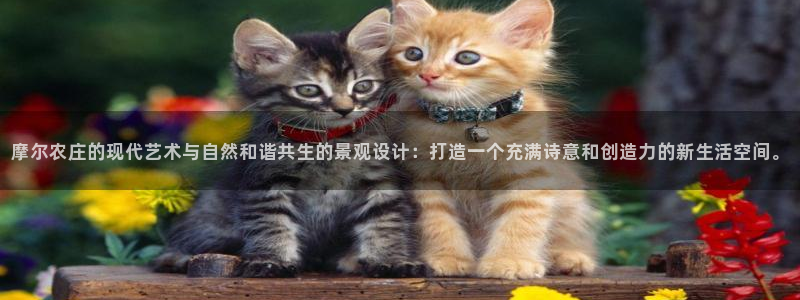 天顺娱乐狼78778