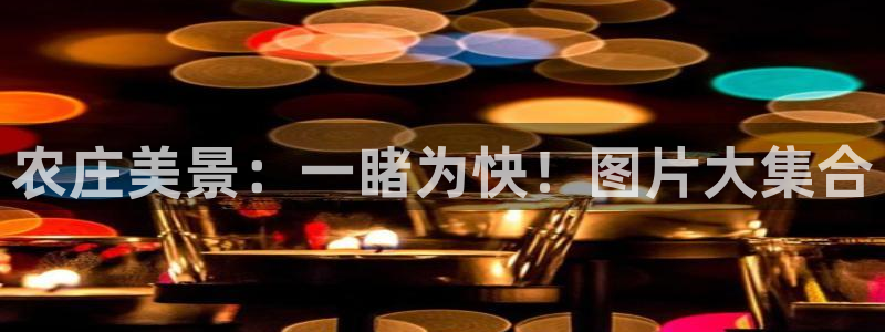 天顺娱乐捍943994