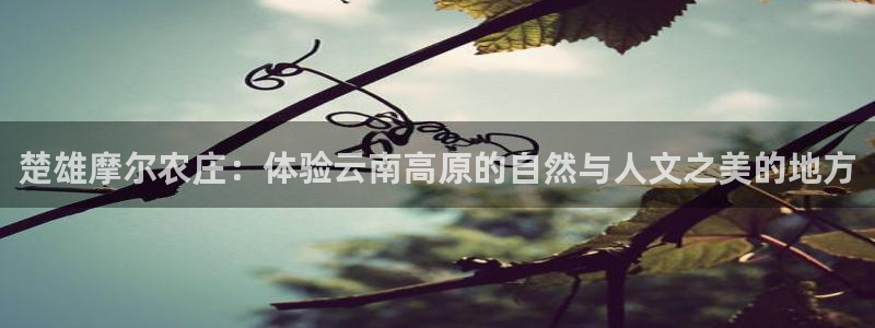 天顺娱乐 k户285580扣