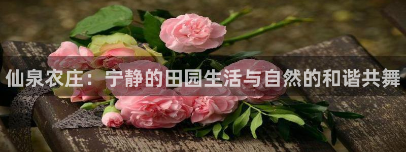 天顺娱乐网943994
