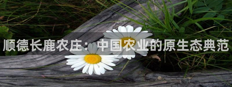 天顺娱乐 c实155744力c