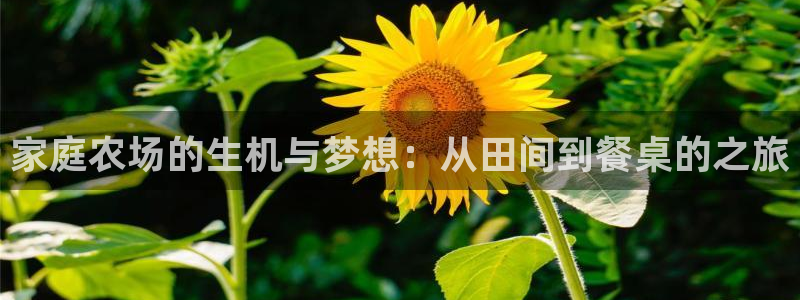 天顺娱乐腾刑秦奋83334j