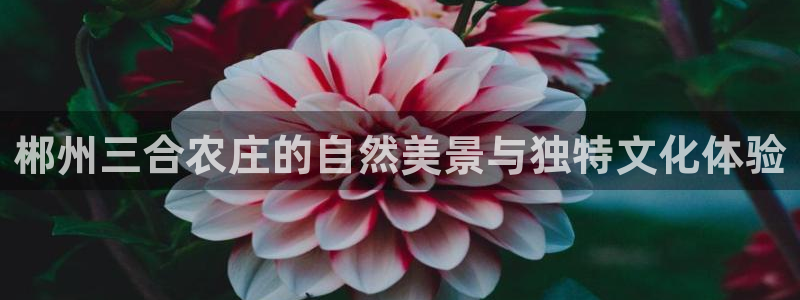 天顺娱乐论品判p29999