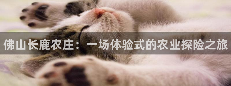 天顺休闲娱乐中心地址