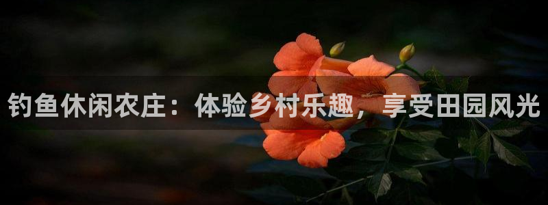 天顺娱乐代理怎么赚钱