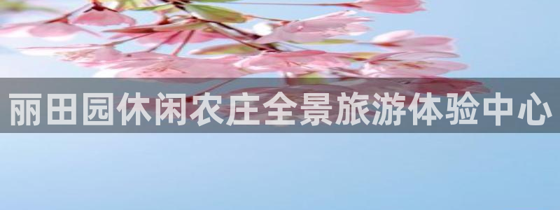 天顺娱乐主管年收入
