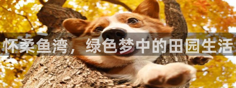 天顺娱乐施74OOO5