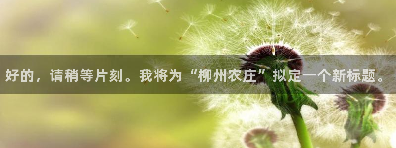 天顺娱乐的挂机包