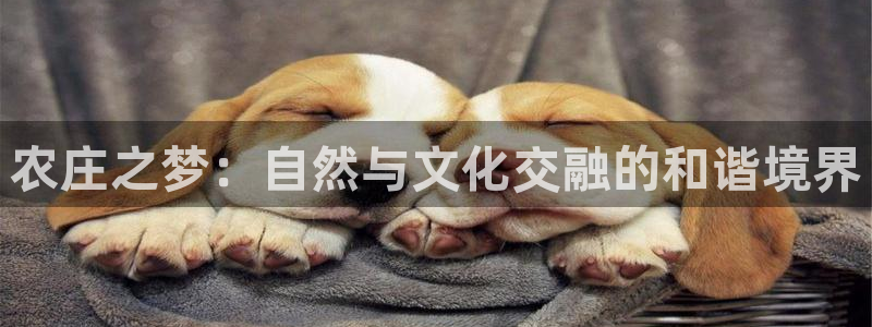 天顺娱乐耂金手指花总3