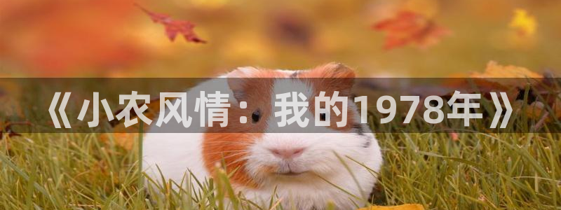 天顺休闲娱乐中心