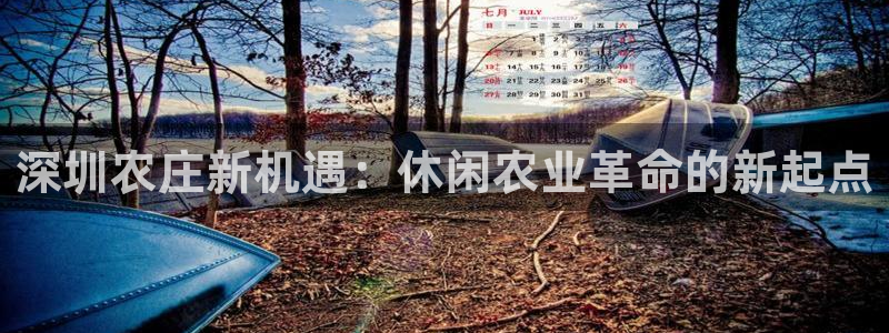 天顺娱乐主管家