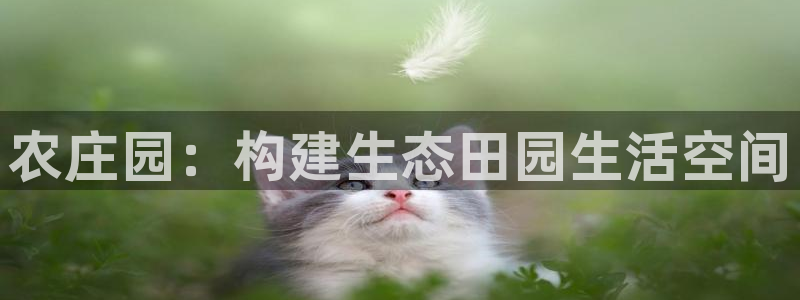 天顺娱乐ic金忄手忄指ib