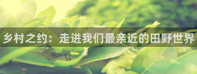 天顺娱乐累履判p29999