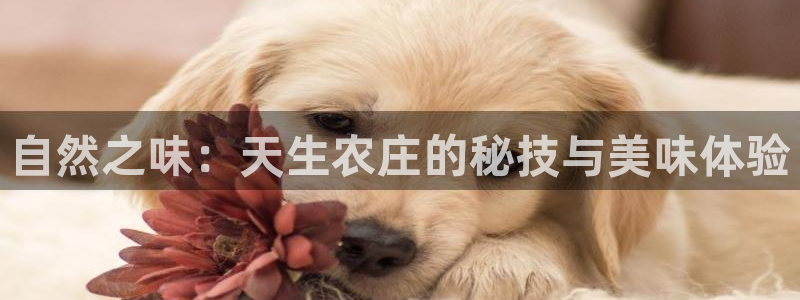 天顺娱乐主管方是谁