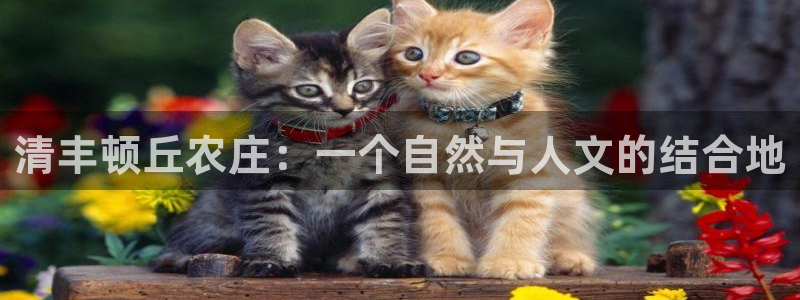 天顺娱乐覆943994