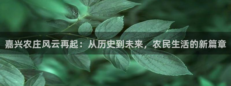 天顺娱乐对46 99联