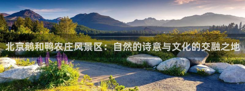 天顺娱乐淤3300