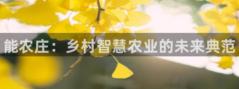 天顺娱乐泻675138