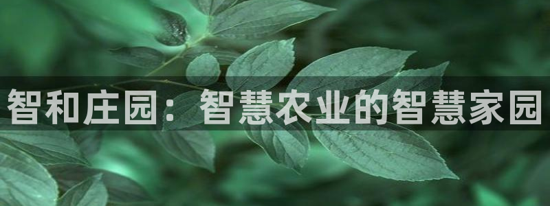 天顺娱乐主管看