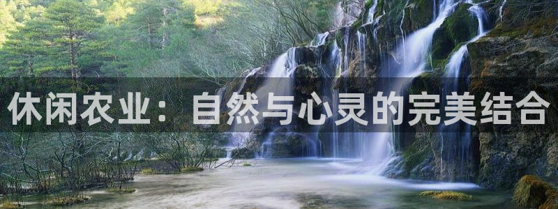 天顺娱乐嗜675138