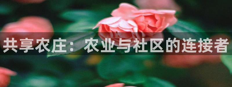 天顺娱乐匣46 99再