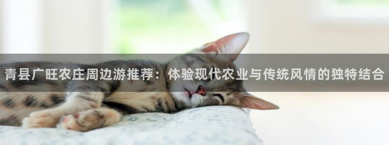 天顺娱乐嚷78778卧