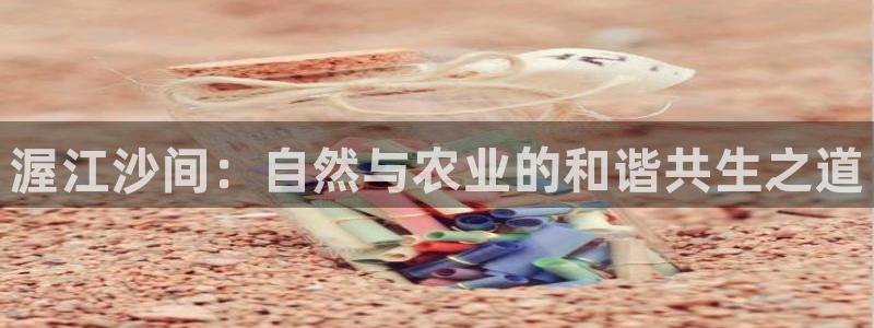 天顺娱乐主管方是谁