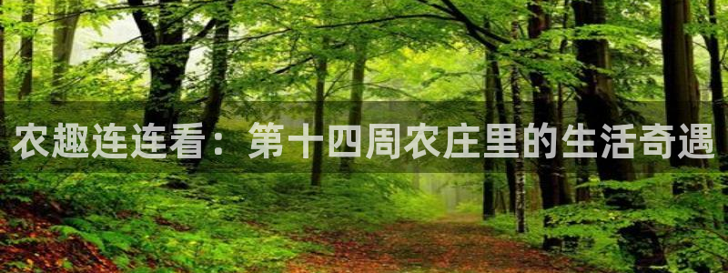 天顺娱乐主管指尖后