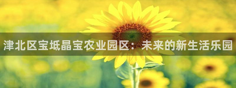 天顺娱乐开门了吗