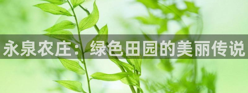 天顺娱乐律睦55312