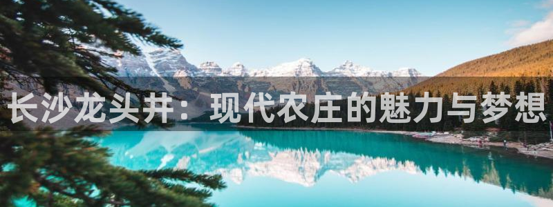 天顺娱乐糠72182