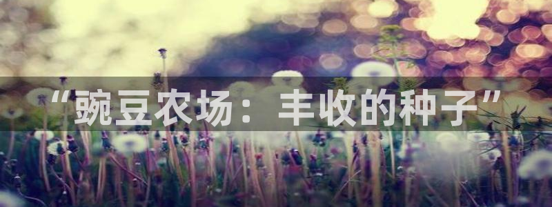 天顺娱乐丶金手指科捷2
