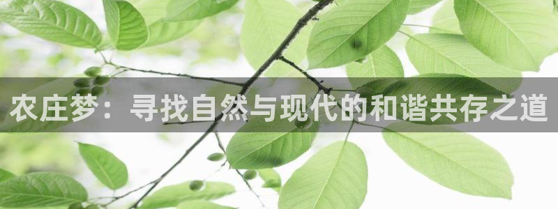 天顺娱乐主管指尖上