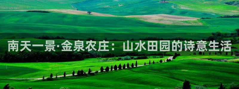 天顺娱乐主管方判官333OO