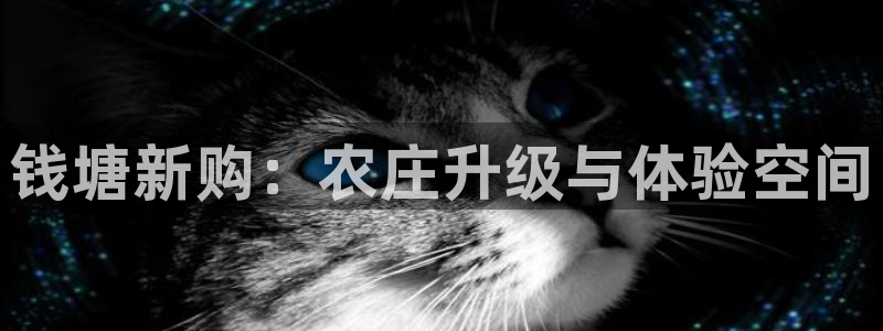 天顺娱乐06g判官333OO