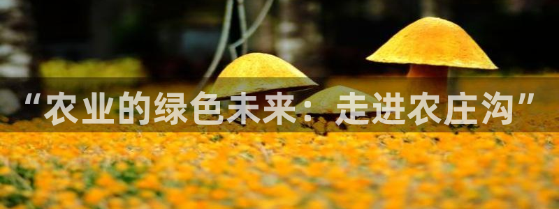 天顺娱乐吕74OOO5