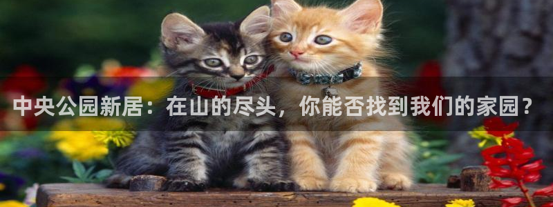 天顺娱乐鸥72182