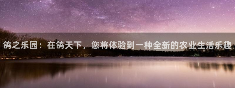 天顺娱乐舞厅怎么样