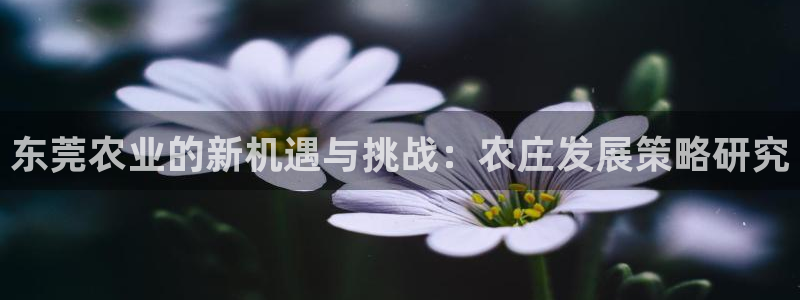 天顺娱乐嘏943994