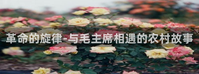 天顺娱乐负责人凵化pg22650